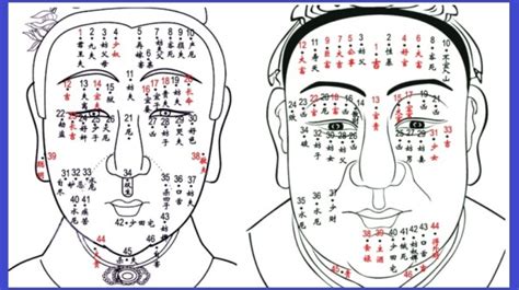 為什麼痣會長毛|痣為什麼會長毛？了解痣與毛髮的關係與原因